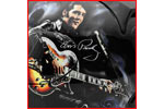 ELVIS Helmets